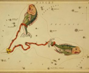 ΙΧΘΥΕΣ - του Δημήτρη Μπαλάση