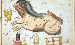 ΚΗΤΟΣ - Του Δημήτρη Μπαλάση