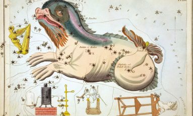 ΚΗΤΟΣ - Του Δημήτρη Μπαλάση