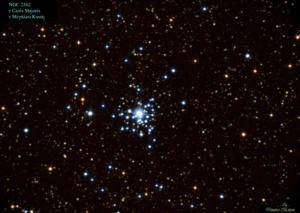 τ Canis Majoris, NGC2362