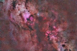 Central Cygnus