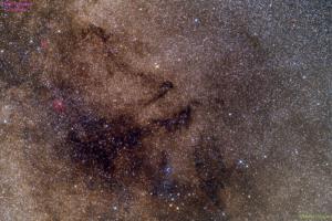 Dark Nebulae in Vulpecula