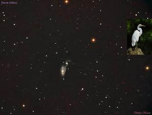 Heron Galaxy in Canes Venatici