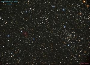 Moth Nebula & IC 1369 in Cygnus