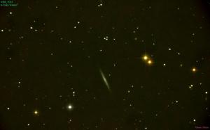 NGC 5023 in Canes Venatici
