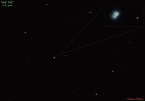NGC 7207 in Cygnus