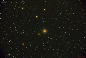NGC 7217 in Pegasus