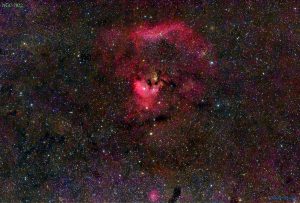 NGC 7822 in Cepheus