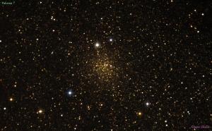 Palomar 7
