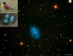 Robin's Egg Nebula in Fornax with bird and egg