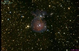 Sh 2-82 (LBN 129, "The Little Cocoon")